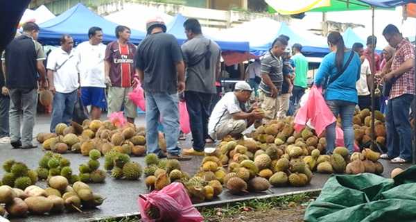 Male-dominated durian biz