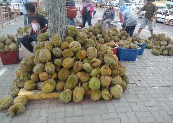 Cosmetically defective durian